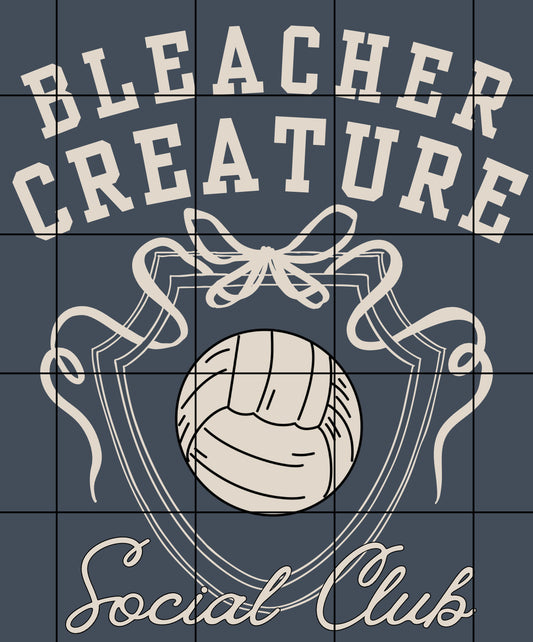 Bleacher creature volleyball (2 PNGS)