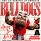 Bulldog color tone PNG
