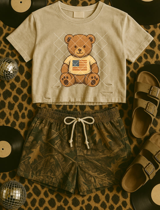 Vintage USA Bear PNG