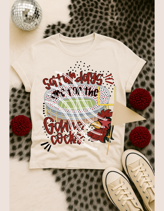 Saturdays x Gamecocks