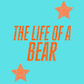 The life of a Bear
