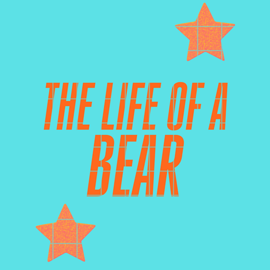 The life of a Bear