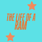 The life of a Ram