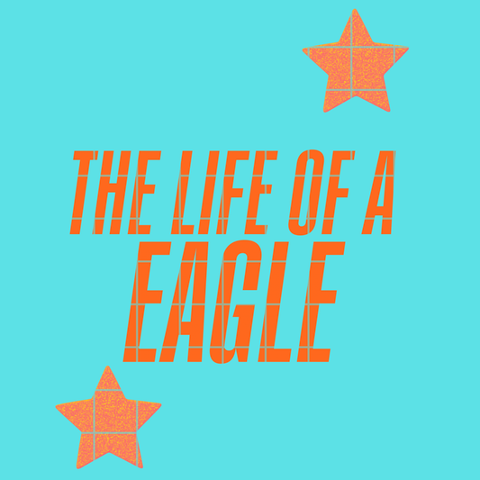 The life of a Eagle
