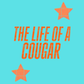 The life of a cougar