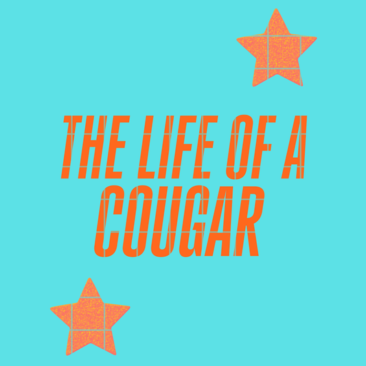 The life of a cougar