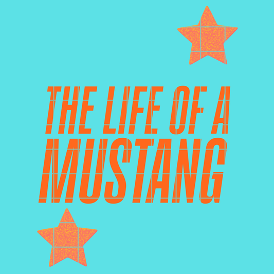 The life of a Mustang