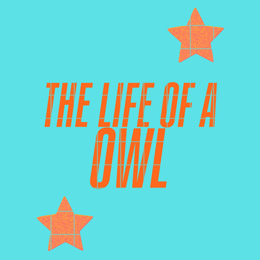 The life of a owl