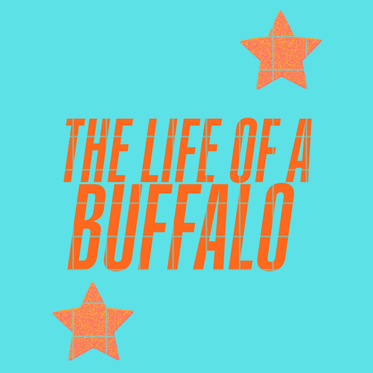 The life of a buffalo