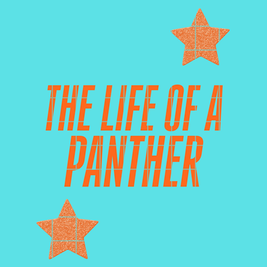 The life of a panther