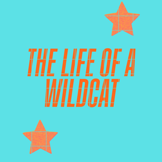 The life of a wildcat